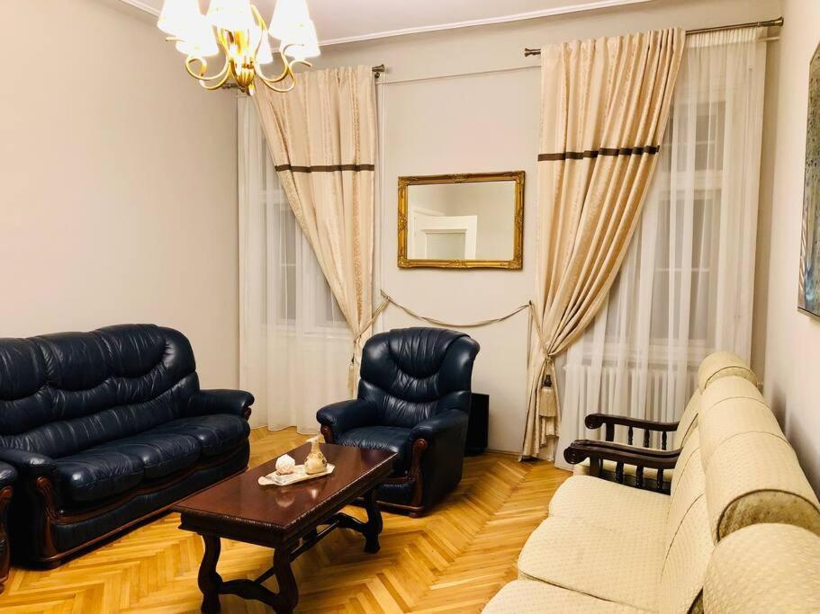 Ultra-Central And Elegant Ap In Opera Square Vic23 تيميشورا المظهر الخارجي الصورة